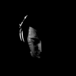 JASON VANISH